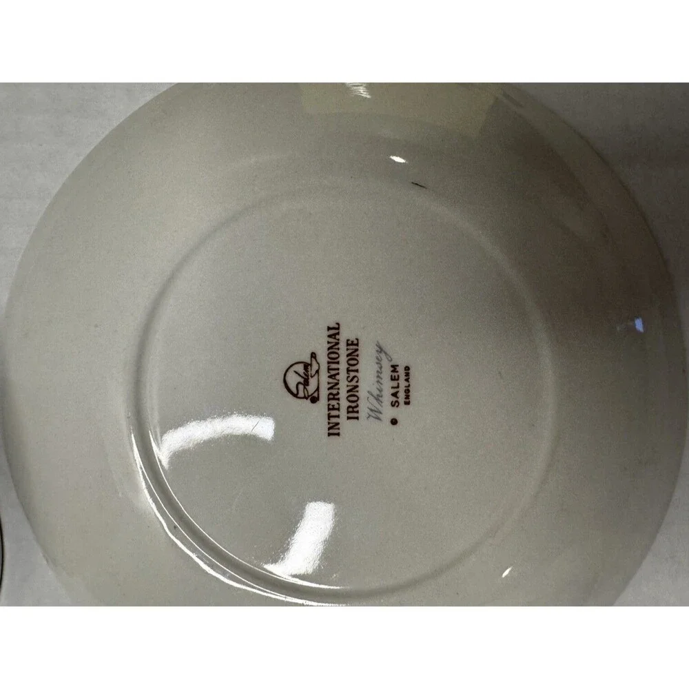 Vintage International Ironstone Salem China 